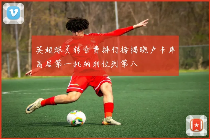 英超球员转会费排行榜揭晓卢卡库高居第一托纳利位列第八